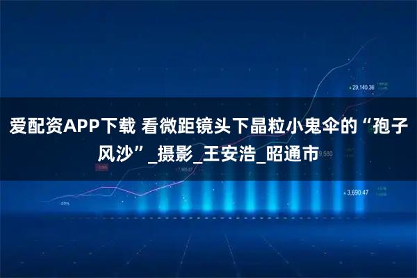 爱配资APP下载 看微距镜头下晶粒小鬼伞的“孢子风沙”_摄影_王安浩_昭通市