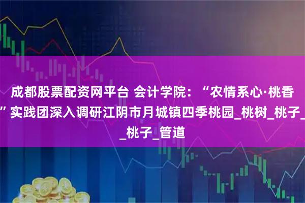 成都股票配资网平台 会计学院：“农情系心·桃香致远”实践团深入调研江阴市月城镇四季桃园_桃树_桃子_管道