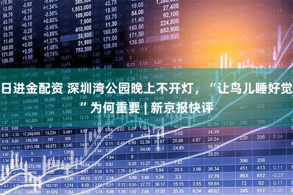 日进金配资 深圳湾公园晚上不开灯，“让鸟儿睡好觉”为何重要 | 新京报快评
