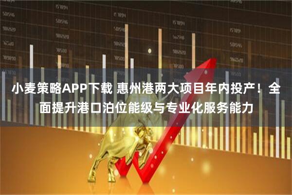小麦策略APP下载 惠州港两大项目年内投产!全面提升港口泊位能级与专业化服务能力